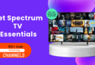 Spectrum TV Essentials
